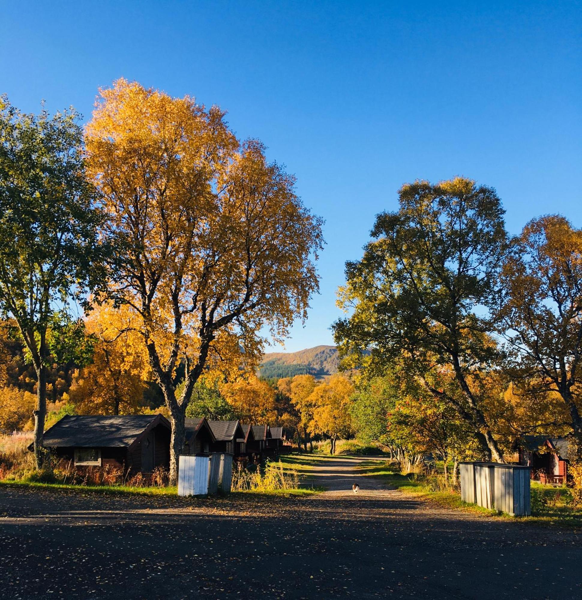 Sortland Camping Og Motell As 外观 照片