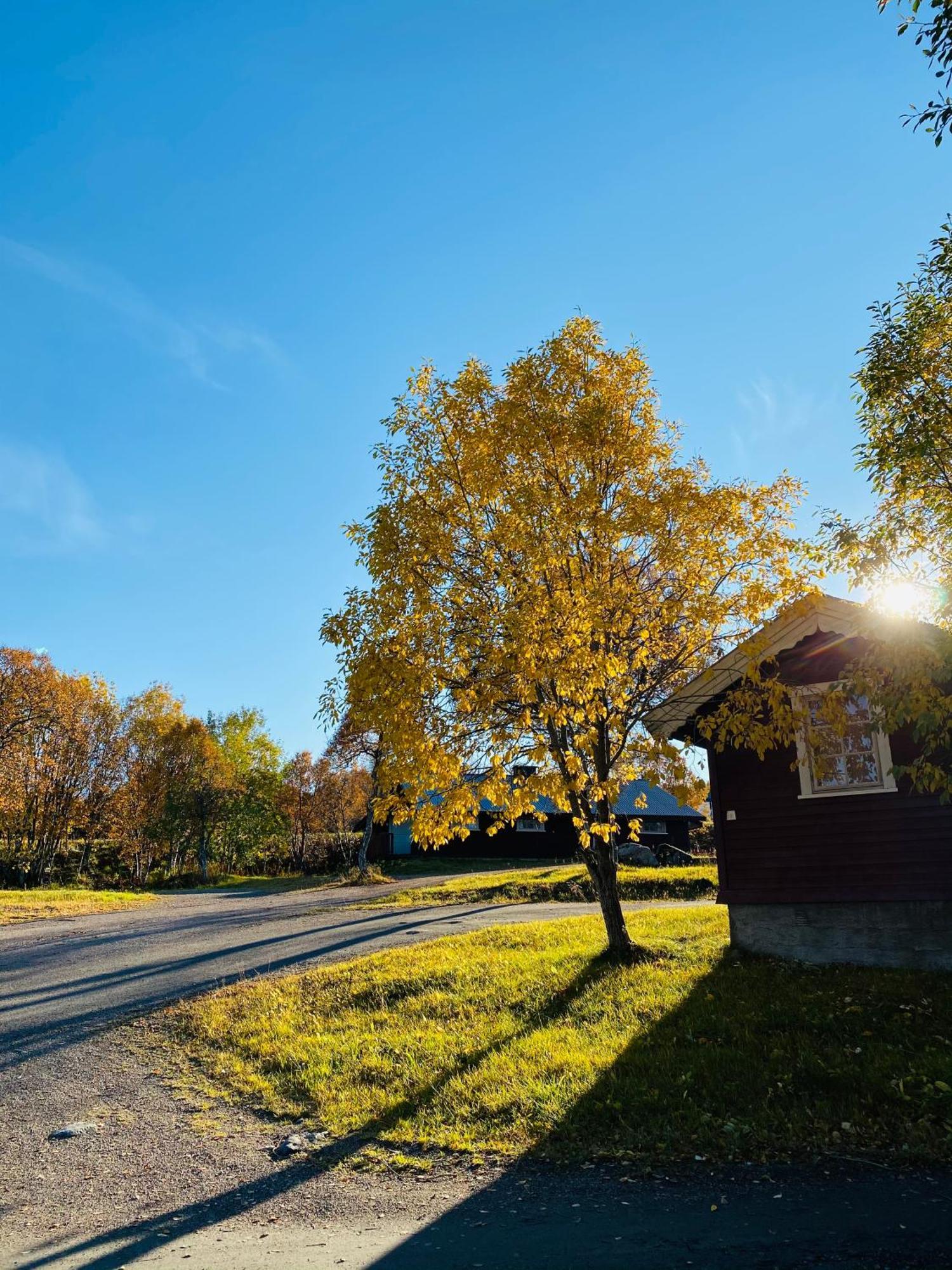 Sortland Camping Og Motell As 外观 照片