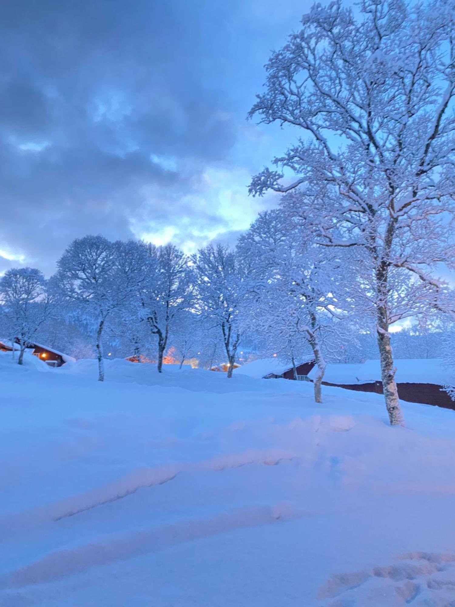 Sortland Camping Og Motell As 外观 照片